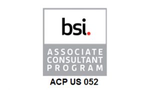 BSI Associate Consultant Program Image