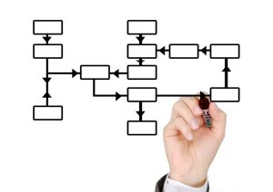 Organizational Charts