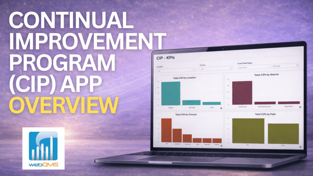 Video preview of the application