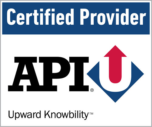 API Auditor Fundamentals - Category Picture